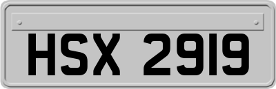 HSX2919