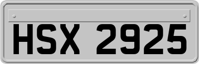 HSX2925
