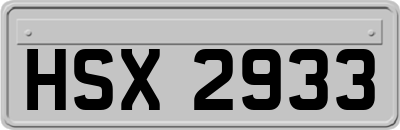 HSX2933