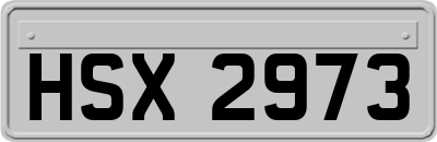 HSX2973