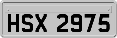 HSX2975