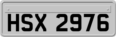 HSX2976