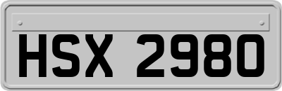 HSX2980