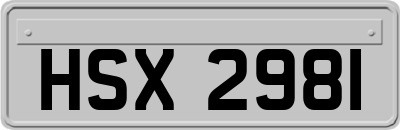 HSX2981
