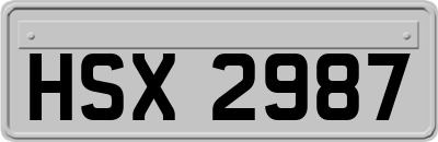 HSX2987