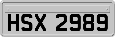 HSX2989