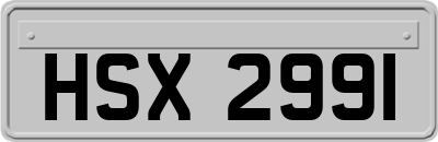 HSX2991