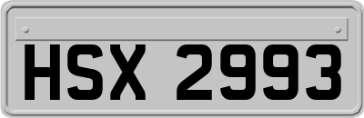 HSX2993