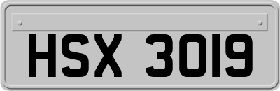 HSX3019