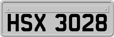 HSX3028
