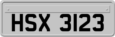 HSX3123