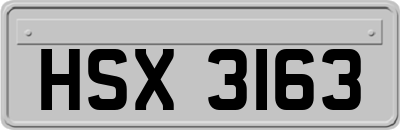 HSX3163