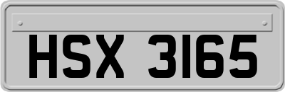 HSX3165