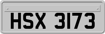 HSX3173