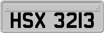 HSX3213
