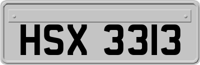 HSX3313