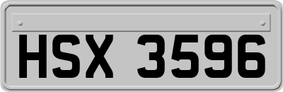 HSX3596