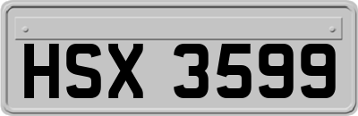HSX3599