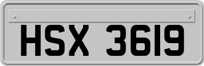 HSX3619