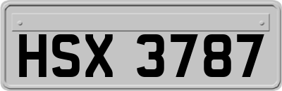 HSX3787