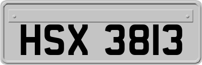 HSX3813