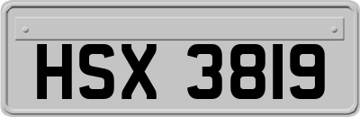HSX3819