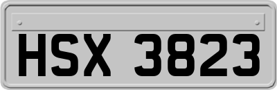 HSX3823