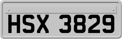 HSX3829