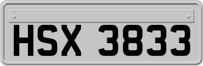 HSX3833