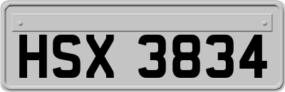 HSX3834