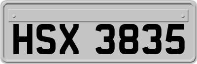 HSX3835