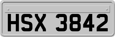 HSX3842