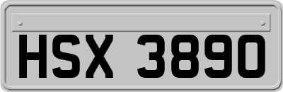 HSX3890