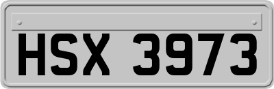 HSX3973
