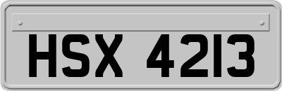 HSX4213