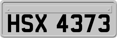 HSX4373