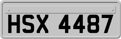 HSX4487