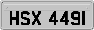 HSX4491