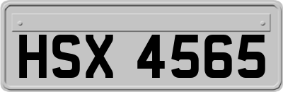 HSX4565