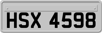 HSX4598