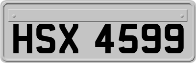 HSX4599