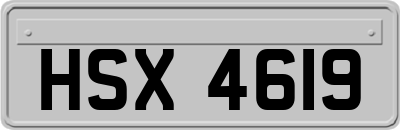 HSX4619