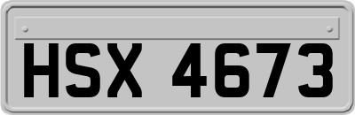 HSX4673