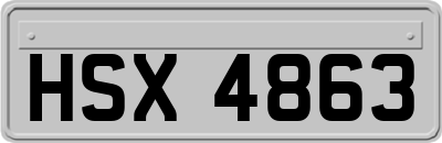 HSX4863