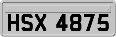 HSX4875