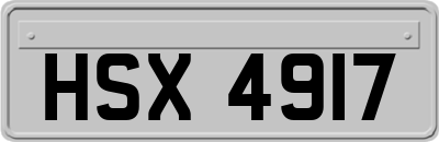 HSX4917