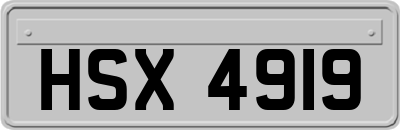 HSX4919
