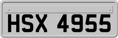 HSX4955