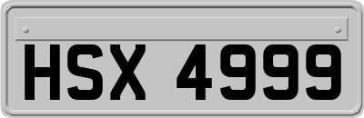 HSX4999