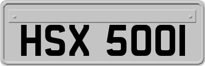 HSX5001